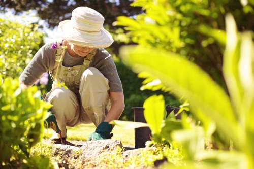 A mature woman wearing a wide-brimmed sun hat and gardening gloves is kneeling on a well-maintained lawn in a backyard or garden area. She is actively working with her hands on a low stone or brick border, possibly tending to a flower bed or shrub area. The garden features lush greenery with broad-leaved plants and neatly trimmed hedges, visible in the foreground and background. Sunlight filters through trees, casting natural light across the scene, suggesting a bright, clear day. In the background, there are additional garden elements, such as potted plants or garden furniture, indicating a carefully landscaped outdoor space typical of residential gardens near Chiswick. The grass appears dense and healthy, bordered by well-kept flower beds that enhance the natural appearance of the garden. This setting showcases typical outdoor maintenance activities and reflects the professional gardening services offered by Hedge Trimming Chiswick, emphasizing a neat, vibrant, and welcoming outdoor environment in West London.