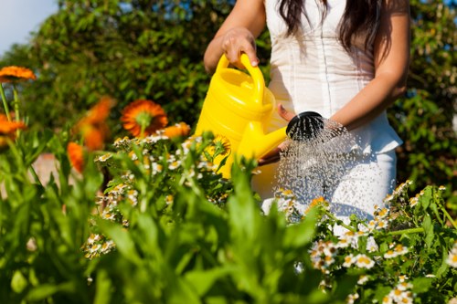 A gardener demonstrating safe hedge trimming techniques while using visible safety gear.