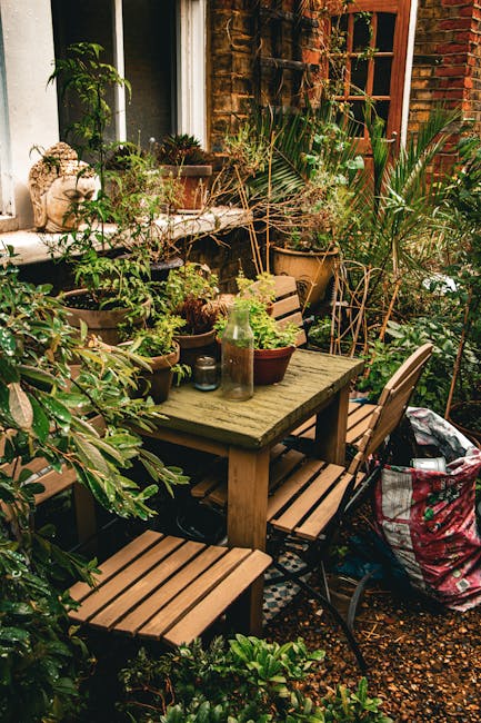A small, well-maintained garden features a paved patio area with a decorative metal bench positioned against the white exterior wall of a house. The garden is bordered by neatly trimmed low hedges for